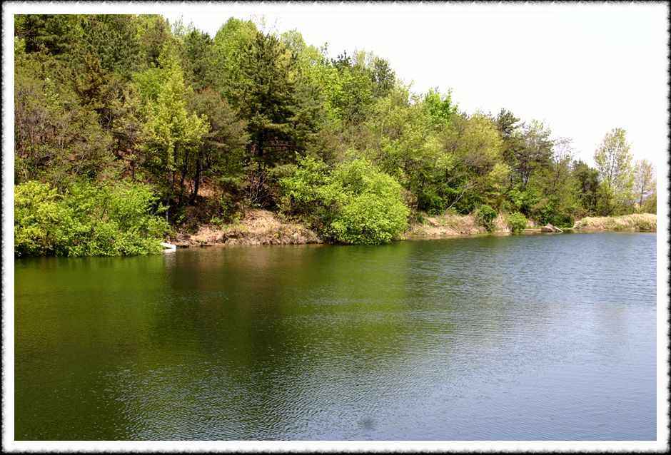 20070428_33.jpg