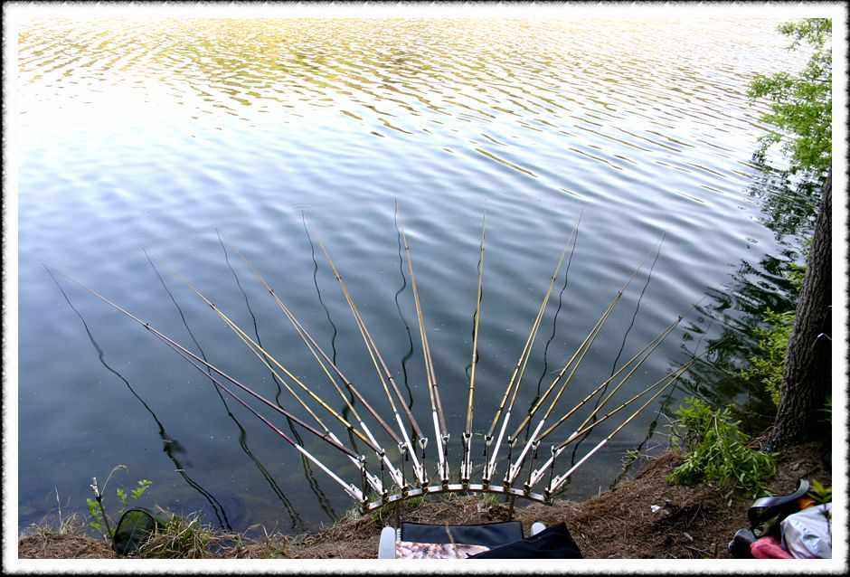 20070428_34.jpg
