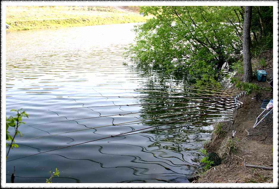 20070428_35.jpg