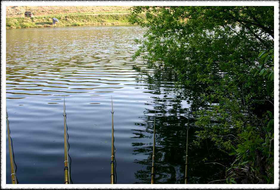 20070428_38.jpg