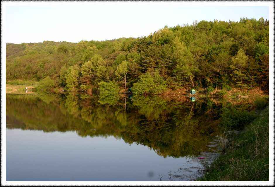 20070428_45.jpg