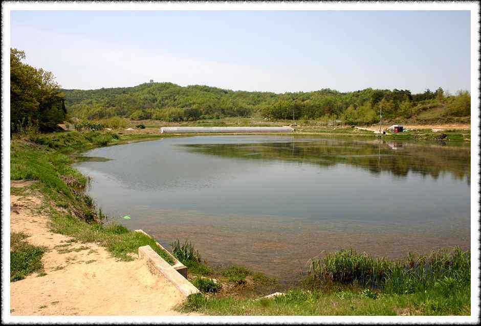 20070428_59.jpg