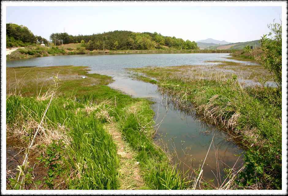 20070428_68.jpg