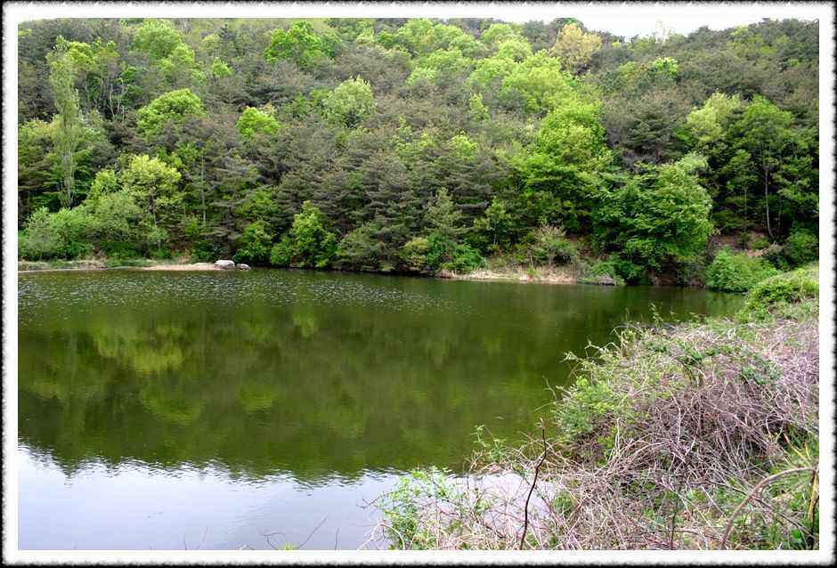 20070430_03.jpg
