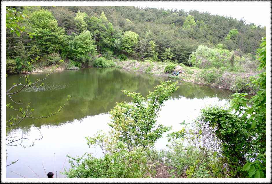 20070430_04.jpg