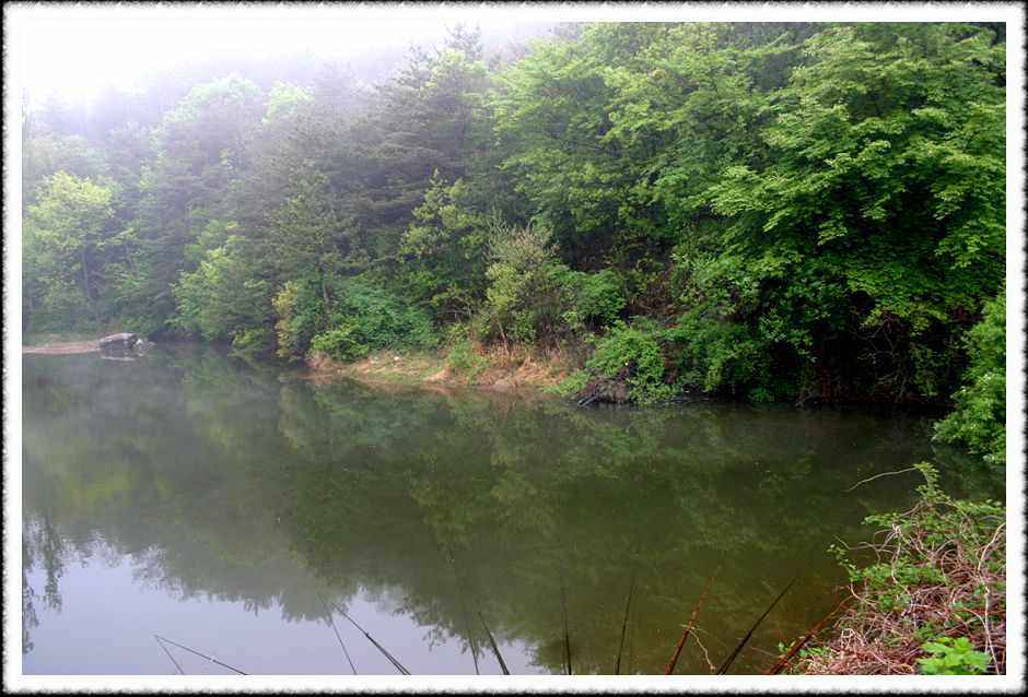 20070430_12.jpg