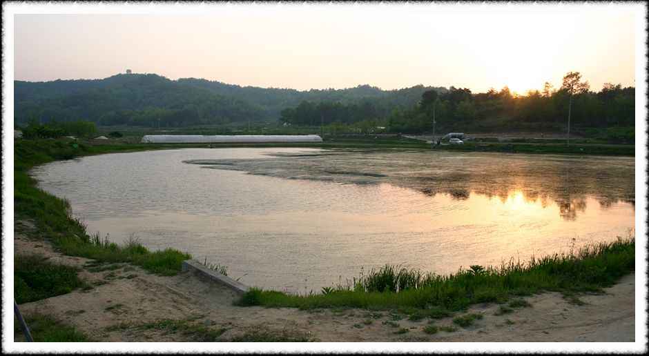 20070505_01.jpg