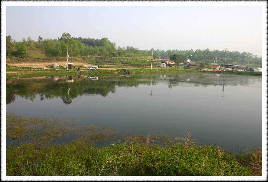 20070505_18.jpg