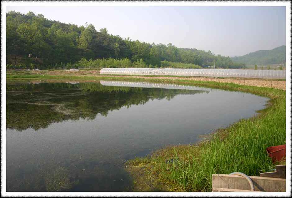 20070505_24.jpg