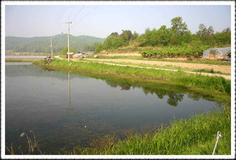 20070505_25.jpg