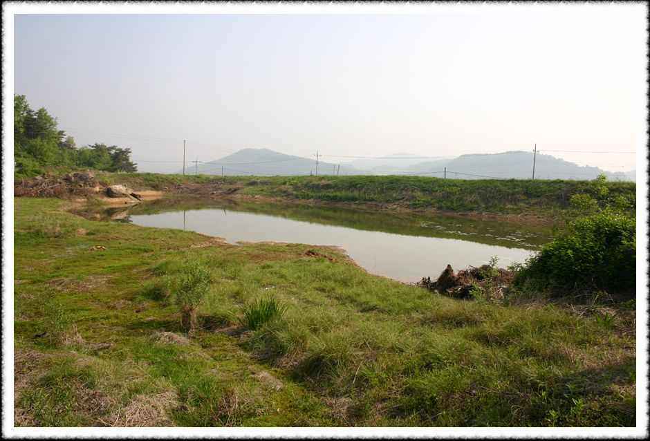 20070505_26.jpg