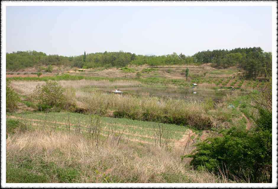 20070505_29.jpg