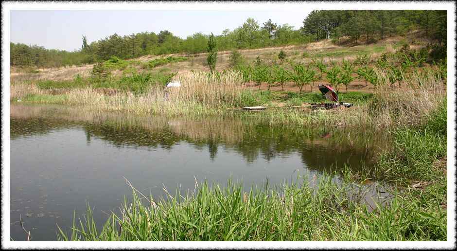 20070505_35.jpg