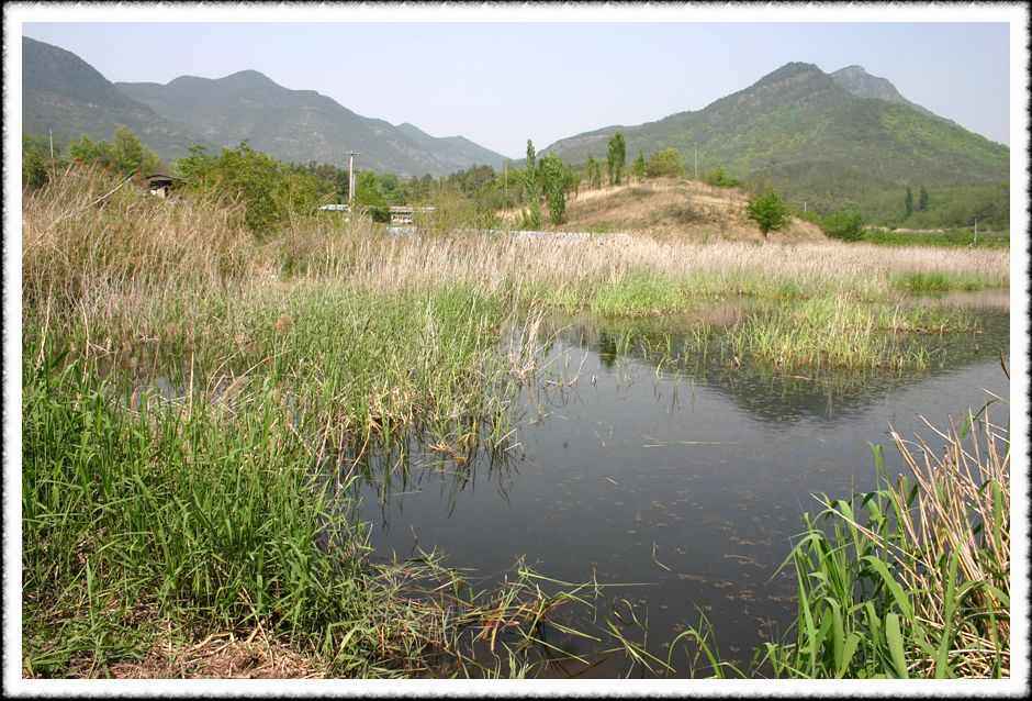 20070505_39.jpg