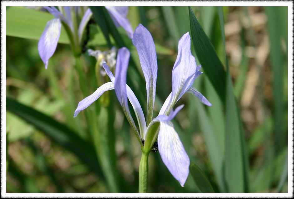 20070505_44.jpg