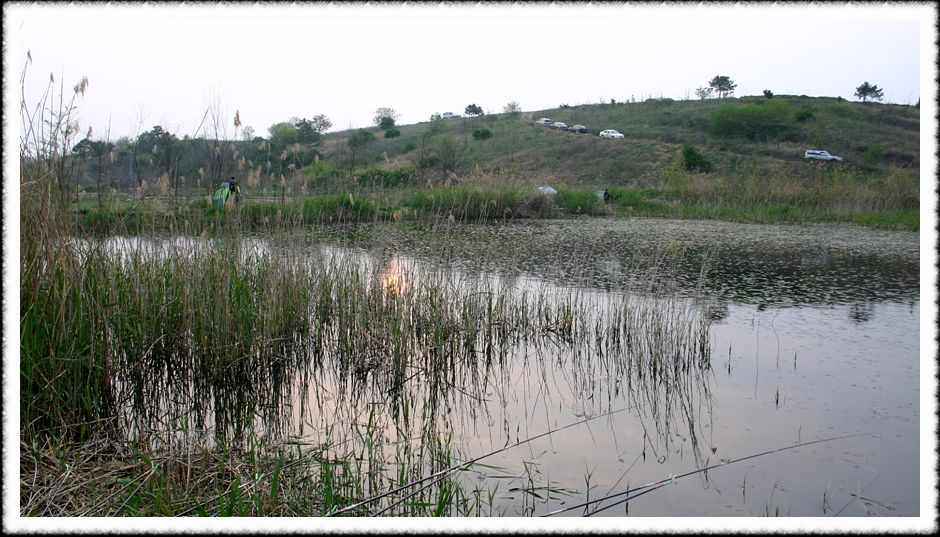 20070505_51.jpg