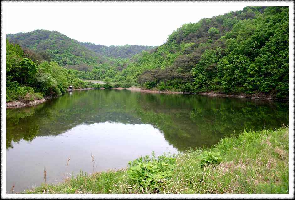 20070512_01.jpg