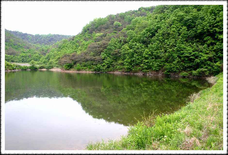 20070512_02.jpg