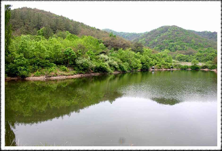 20070512_03.jpg