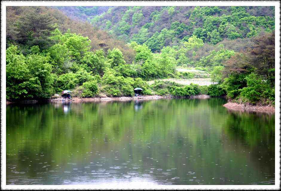 20070512_05.jpg