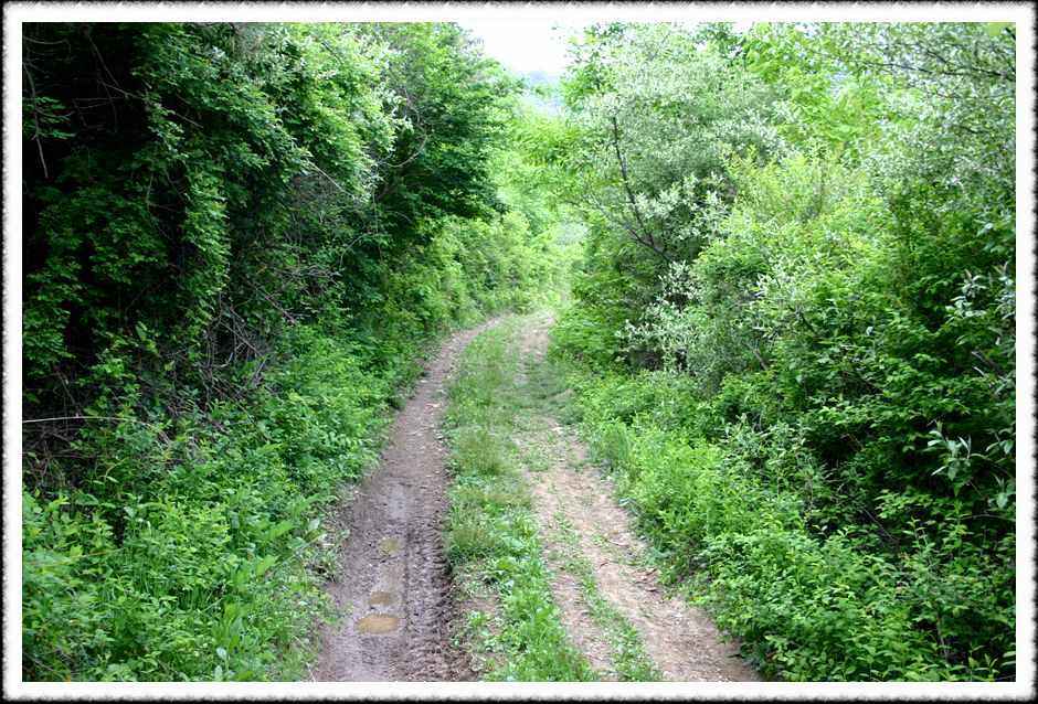 20070512_07.jpg