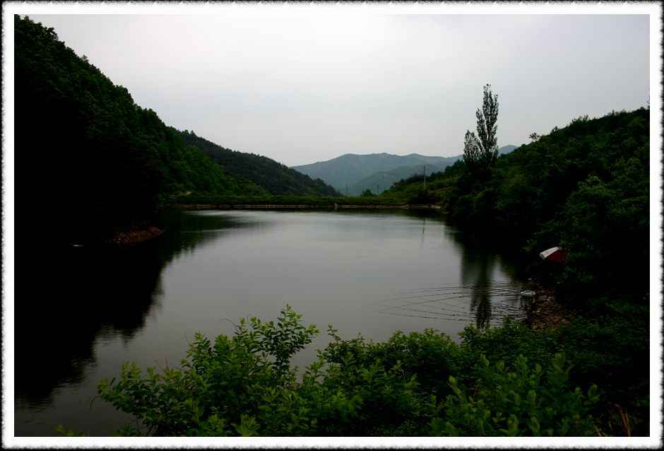 20070512_08.jpg