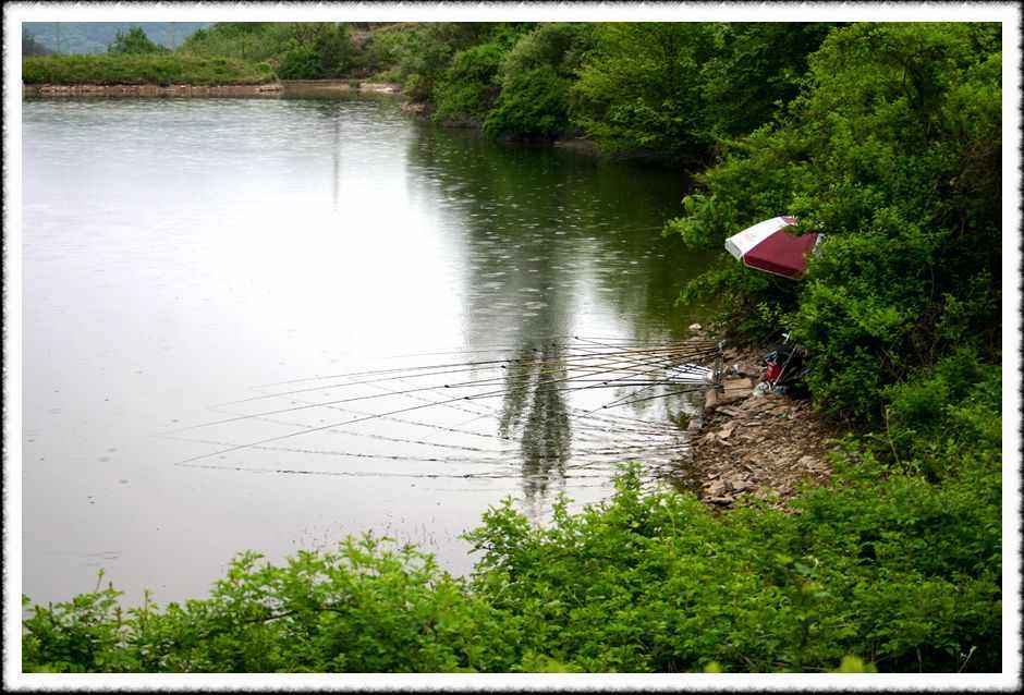 20070512_13.jpg