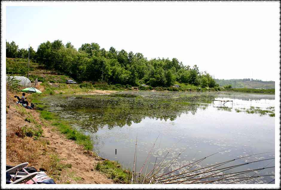 20070512_38.jpg
