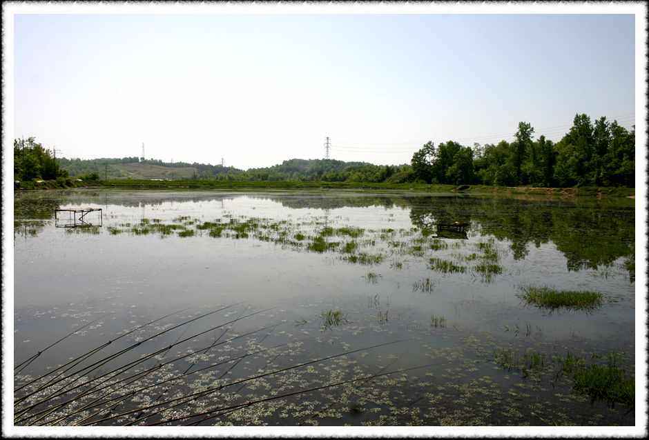20070512_39.jpg