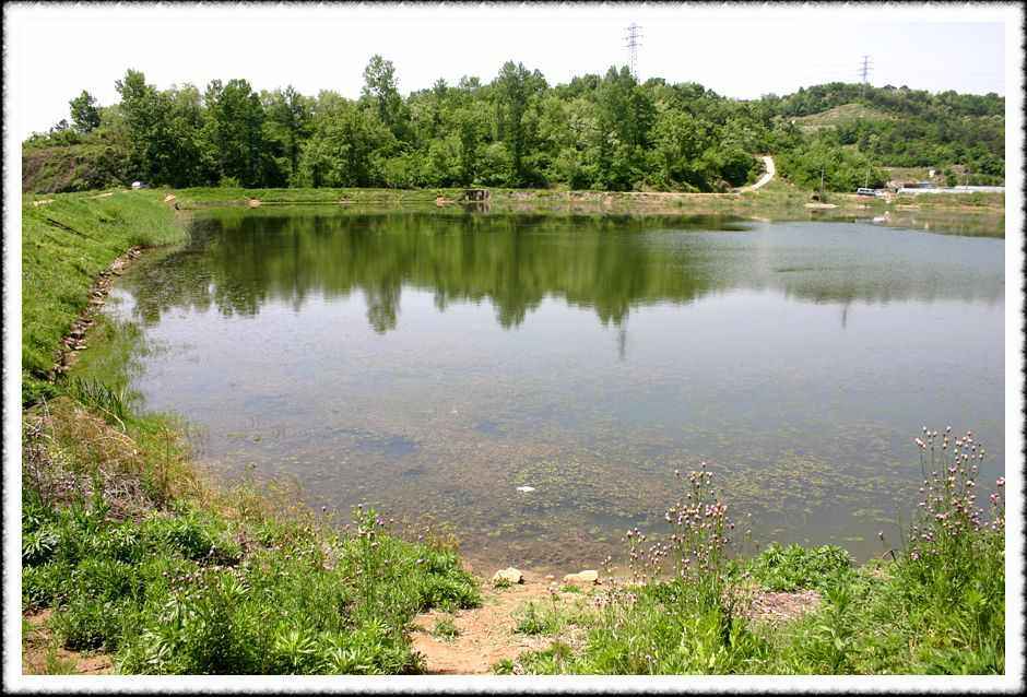 20070512_41.jpg