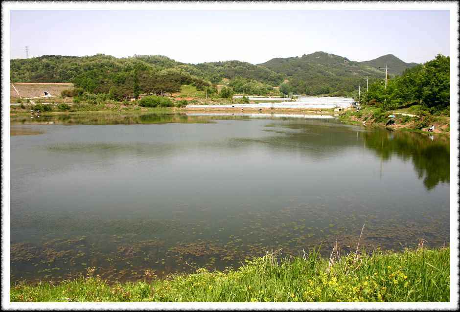 20070512_42.jpg