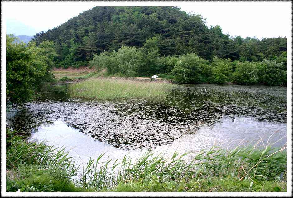 20070518_03.jpg