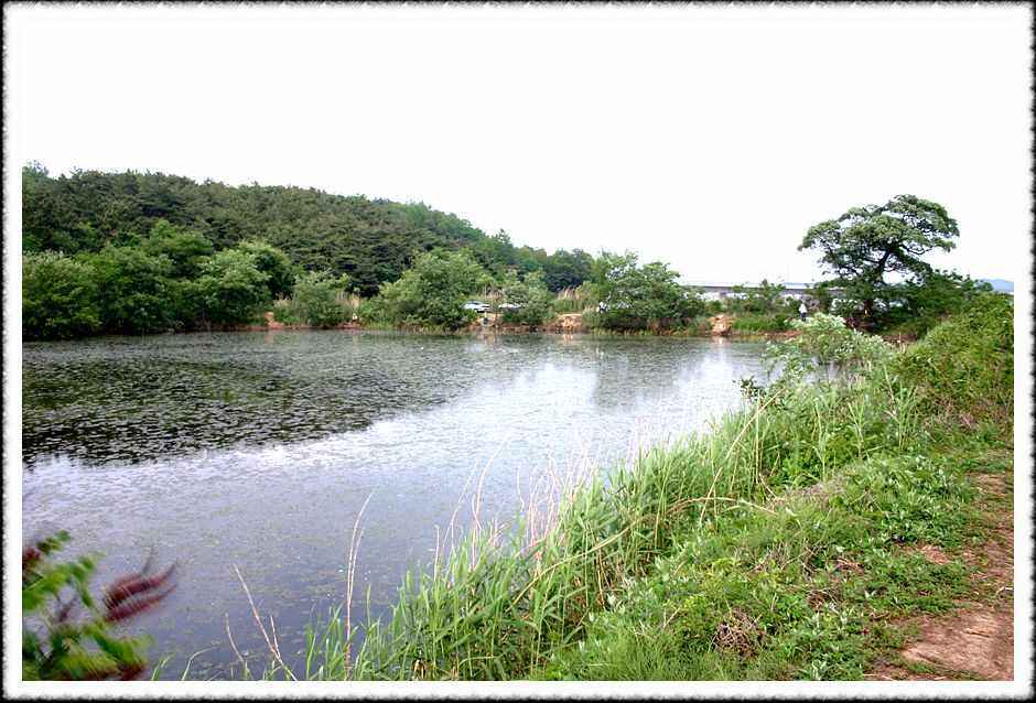 20070518_04.jpg