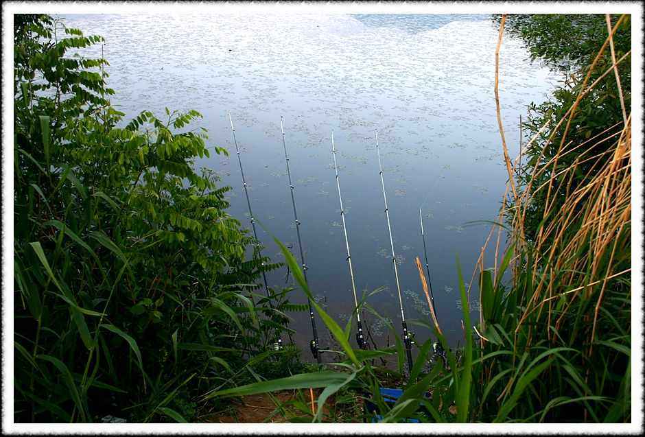 20070518_12.jpg