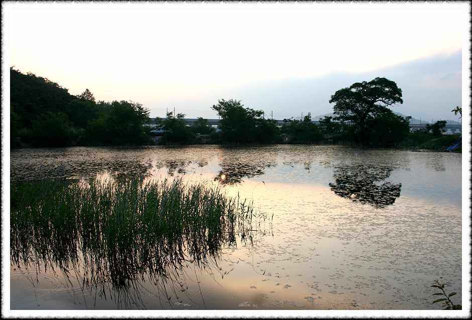 20070518_16.jpg