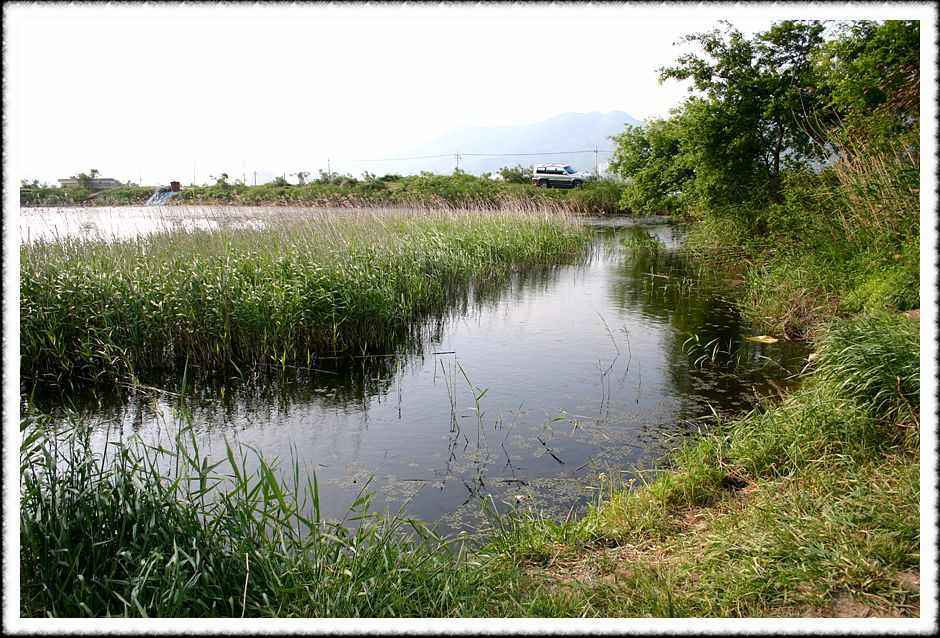 20070518_34.jpg