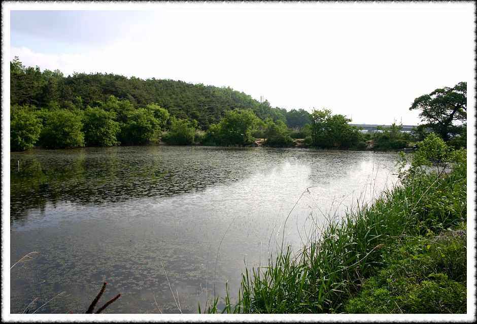 20070518_49.jpg