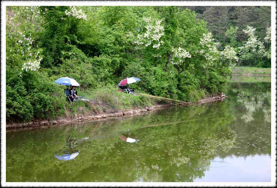 2007051905.jpg