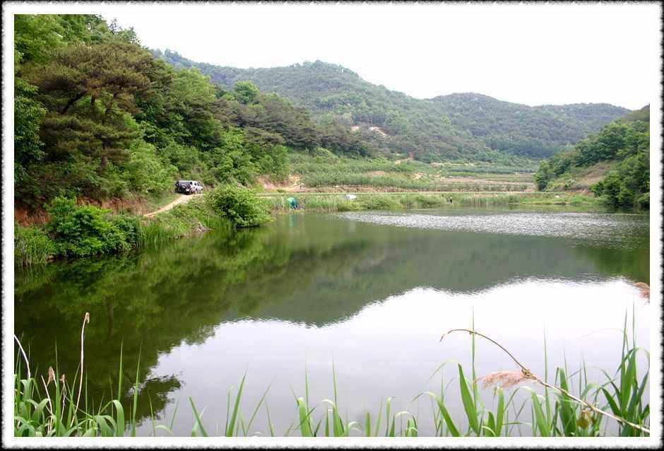 20070526_02.jpg