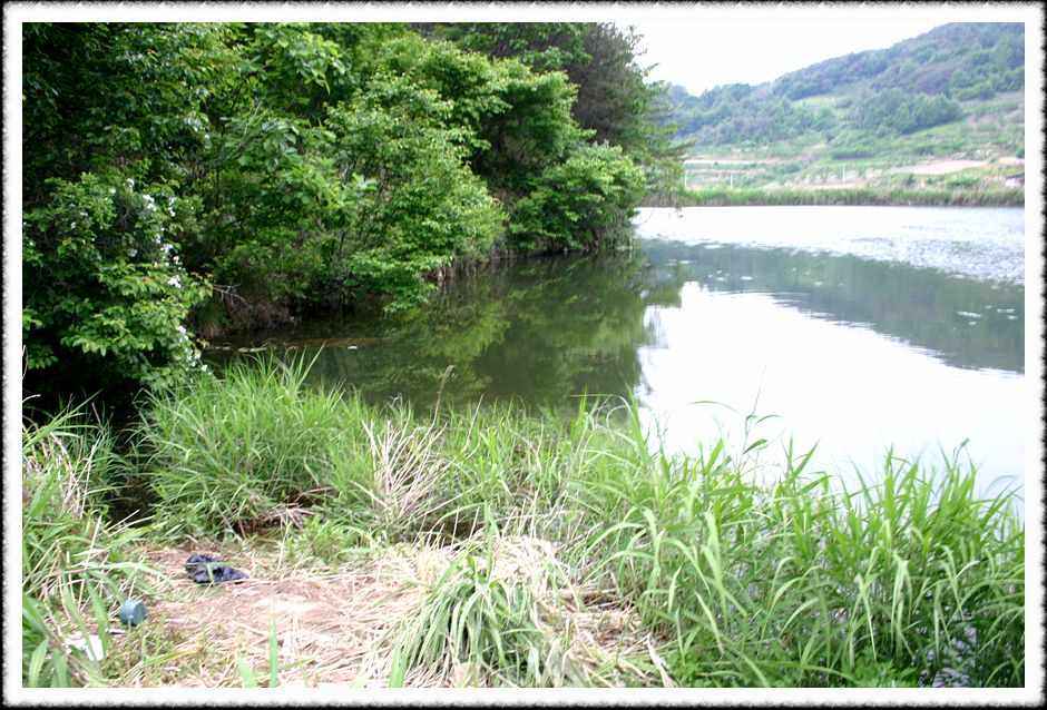 20070526_07.jpg