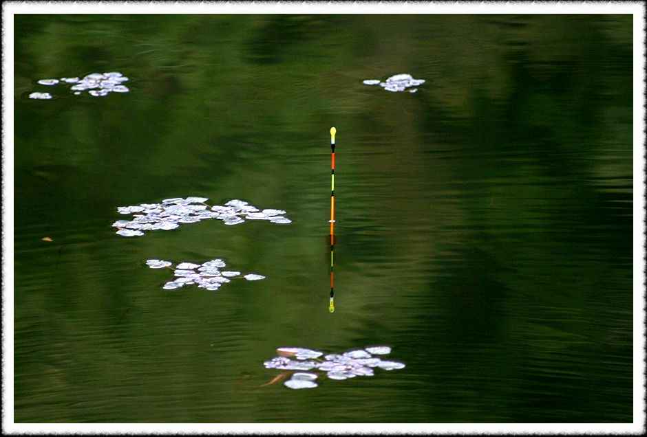 20070526_11.jpg