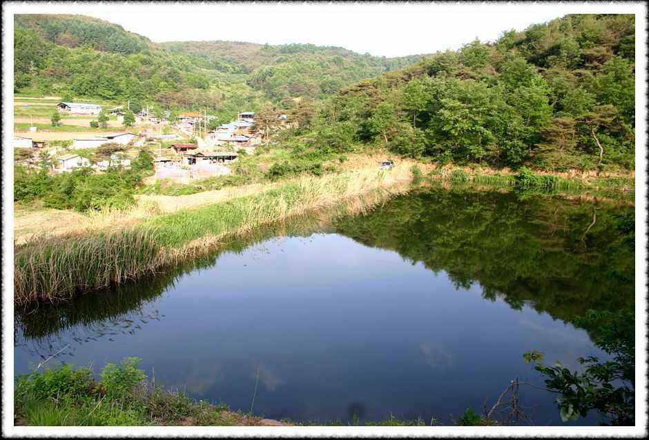 20070526_17.jpg