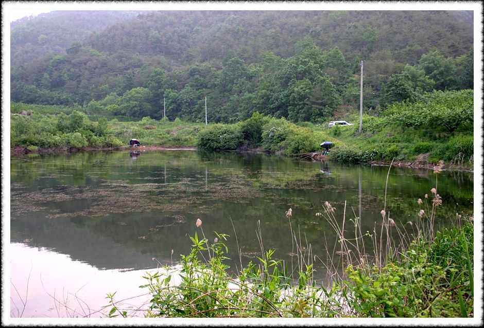 20070526_27.jpg