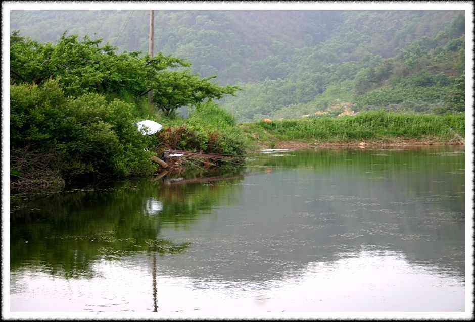 20070526_31.jpg