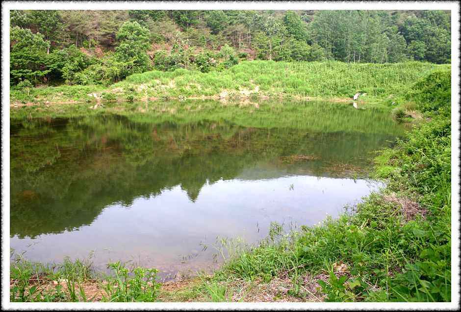 20070526_38.jpg