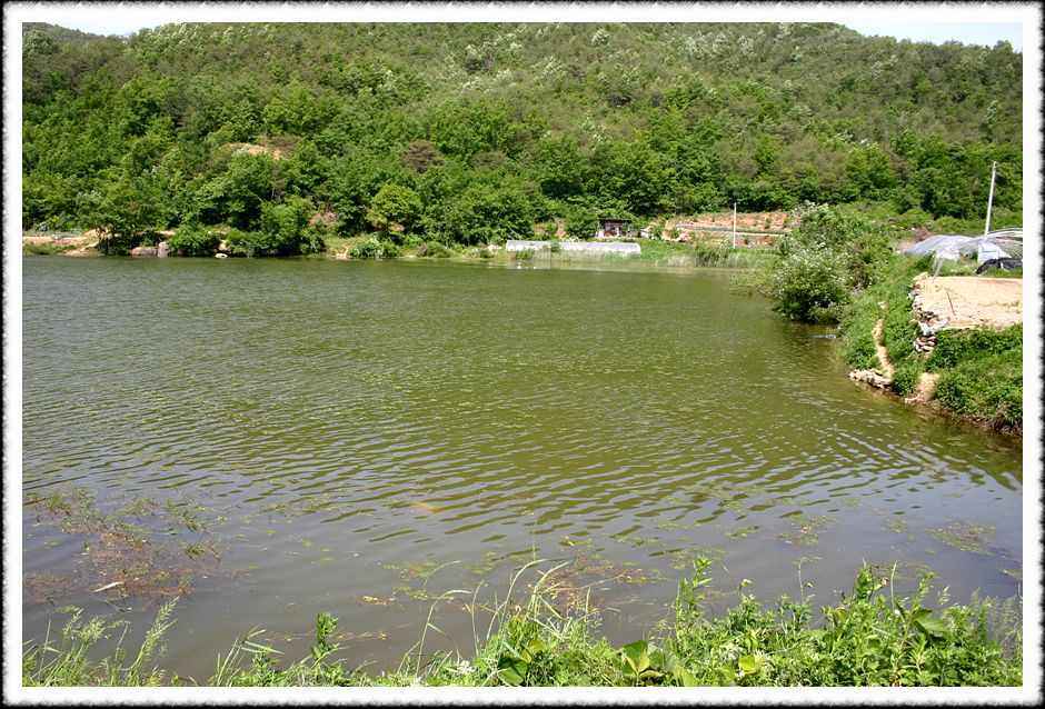 20070526_39.jpg