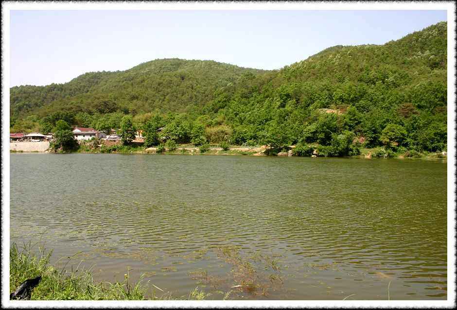 20070526_40.jpg