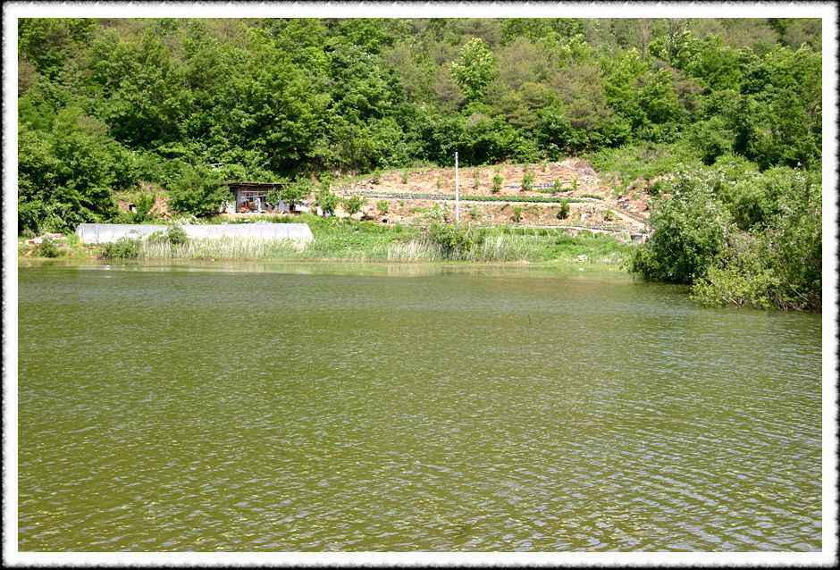 20070526_42.jpg