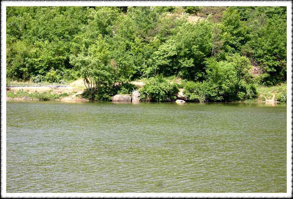 20070526_43.jpg