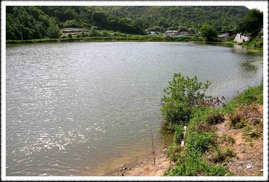 20070526_44.jpg